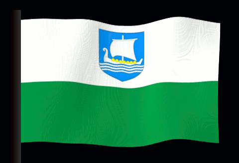 saaramflag